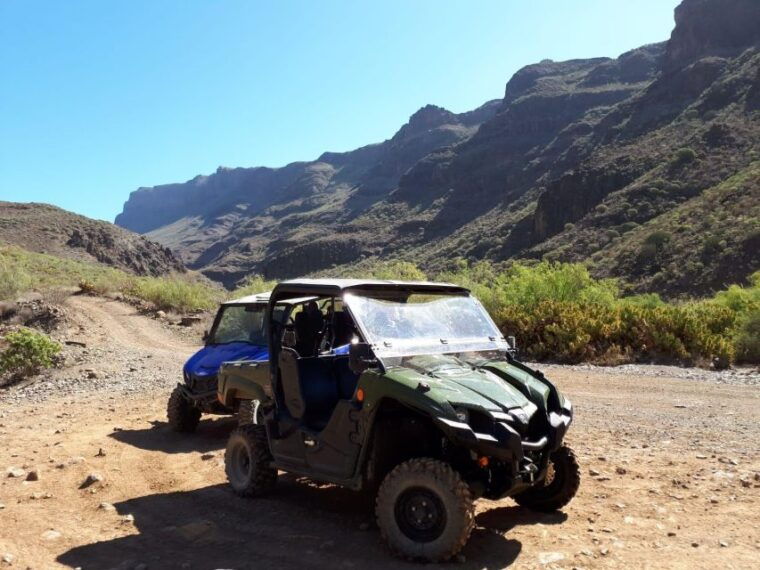 from-maspalomas-volcanic-landscapes-4-seater-buggy-tour