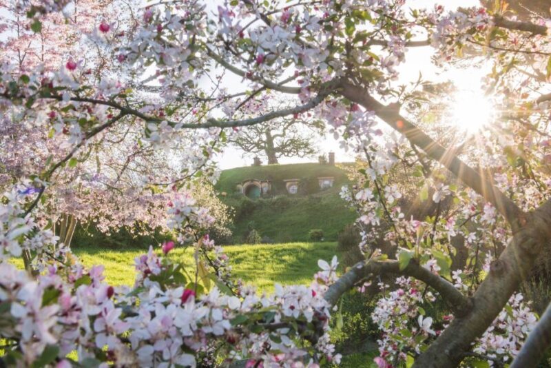 From Matamata: Guided Hobbiton Experience with Bus Transfers - FAQs