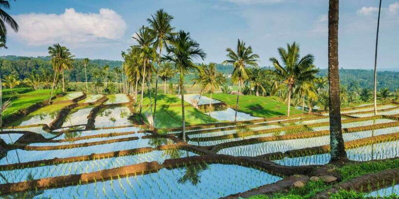 from-mataram-sendang-gile-waterfall-senaru-village-tour