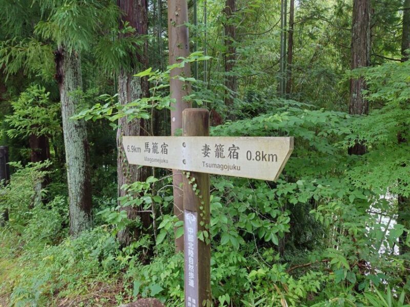 From Matsumoto/Nagano: Nakasendo Trail Walking Tour - Who Will Love This Tour?