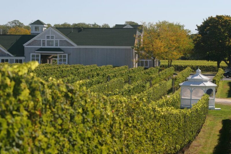 From Mattituck: Guided Brewery and Vineyard Tour by Bicycle - Who Will Love This Tour?
