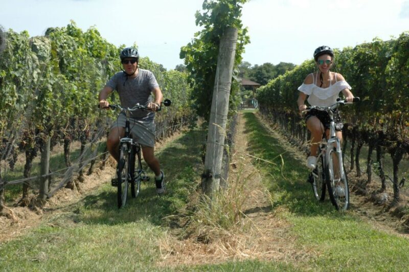 From Mattituck: North Fork Area Bike Tour with Food Tasting - A Closer Look at the North Fork Bike Tour Experience