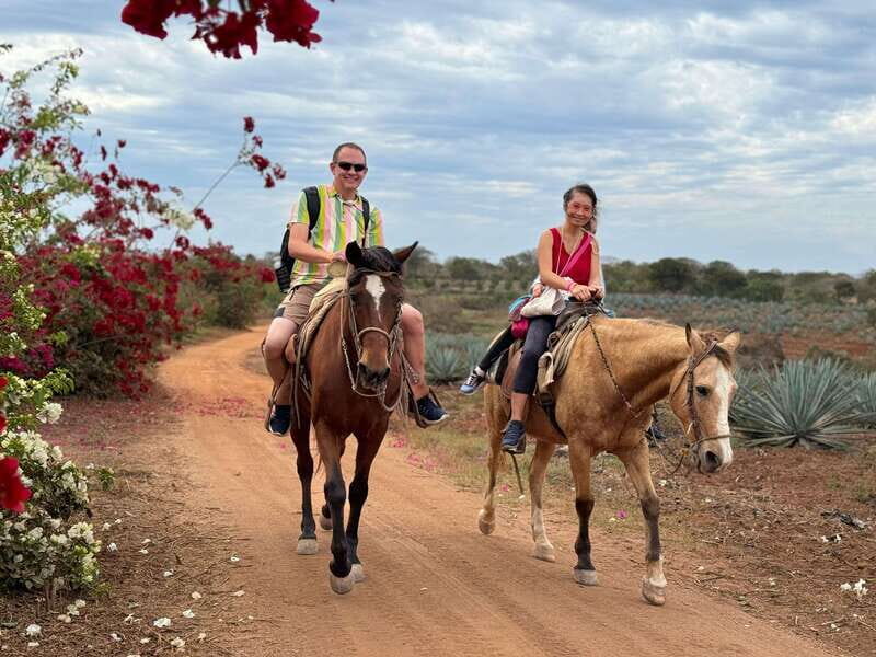 From Mazatlan: ATV & Horse Back riding with Tequila Tasting - Exploring the Tour: What You Can Expect