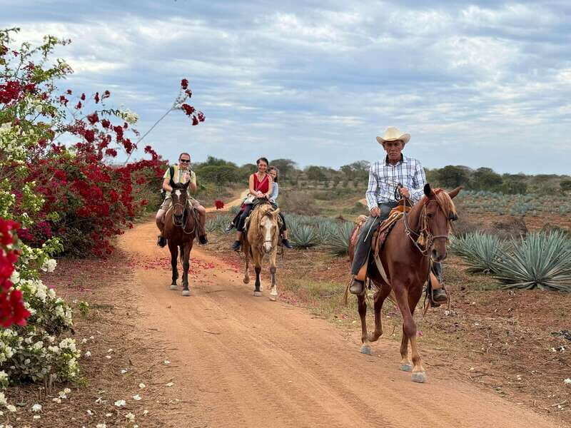 From Mazatlan: ATV & Horse Back riding with Tequila Tasting - What’s Included & Practical Details