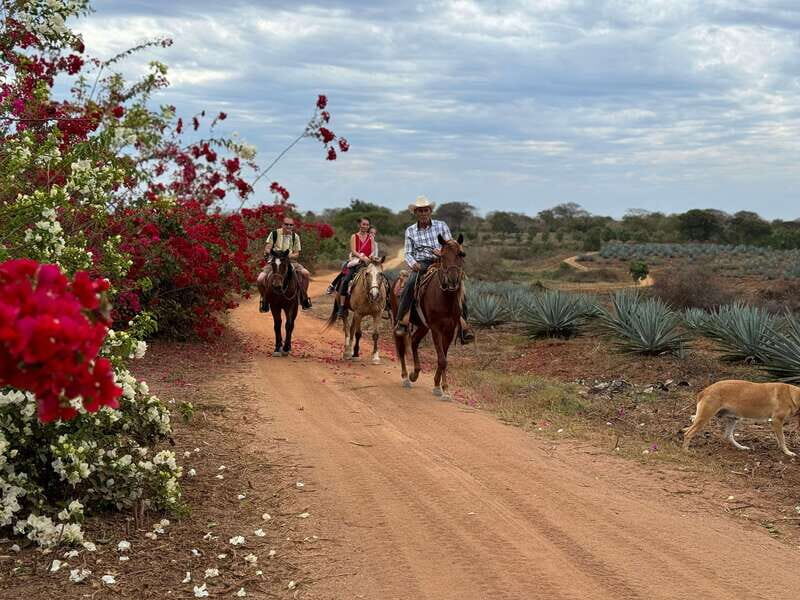 From Mazatlan: ATV & Horse Back riding with Tequila Tasting - What You Need to Know Before Booking