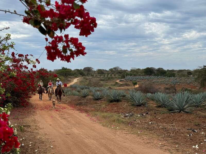 From Mazatlan: ATV & Horse Back riding with Tequila Tasting - Real Experiences from Travelers