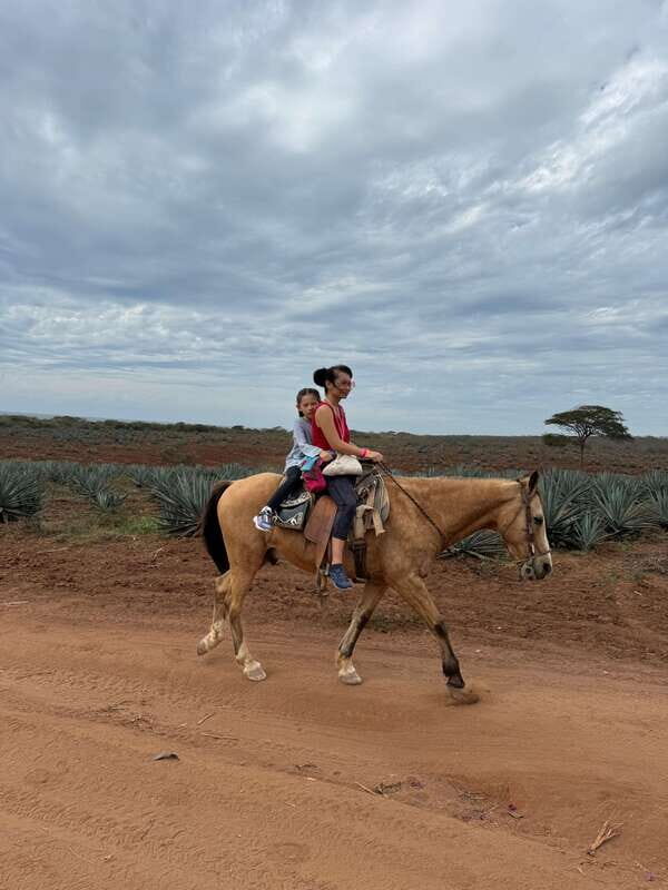 From Mazatlan: ATV & Horse Back riding with Tequila Tasting - FAQ