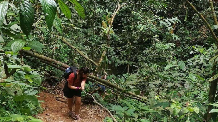 from-medan-bukit-lawang-orangutan-tour-mt-leuser
