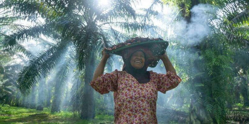 from-medan-mount-leuser-national-park-full-day-trip