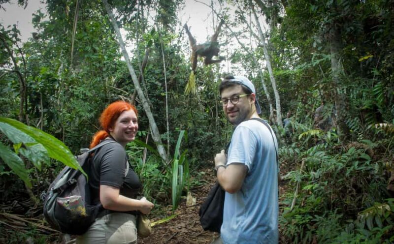 From Medan: Mount Leuser National Park Orang Utan Trip - Who Will Benefit Most?