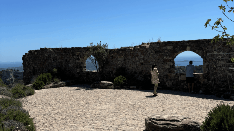 from-medieval-evenos-to-bandol-wines-a-taste-of-provence