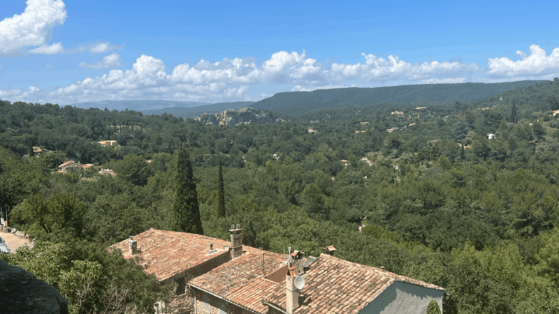 from-medieval-evenos-to-bandol-wines-a-taste-of-provence