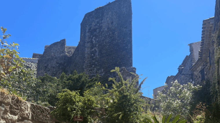 from-medieval-evenos-to-bandol-wines-a-taste-of-provence