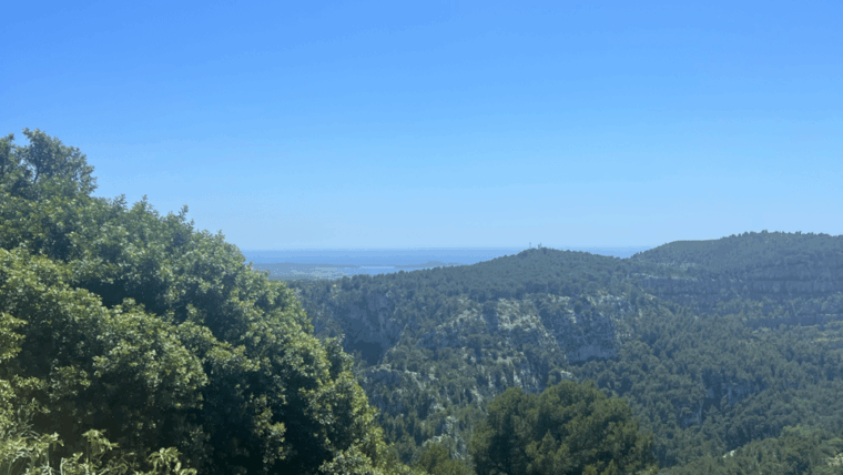 from-medieval-evenos-to-bandol-wines-a-taste-of-provence