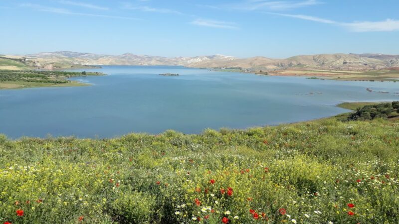 From Meknes: Day Trip to Chefchaouen - From Meknes: Day Trip to Chefchaouen