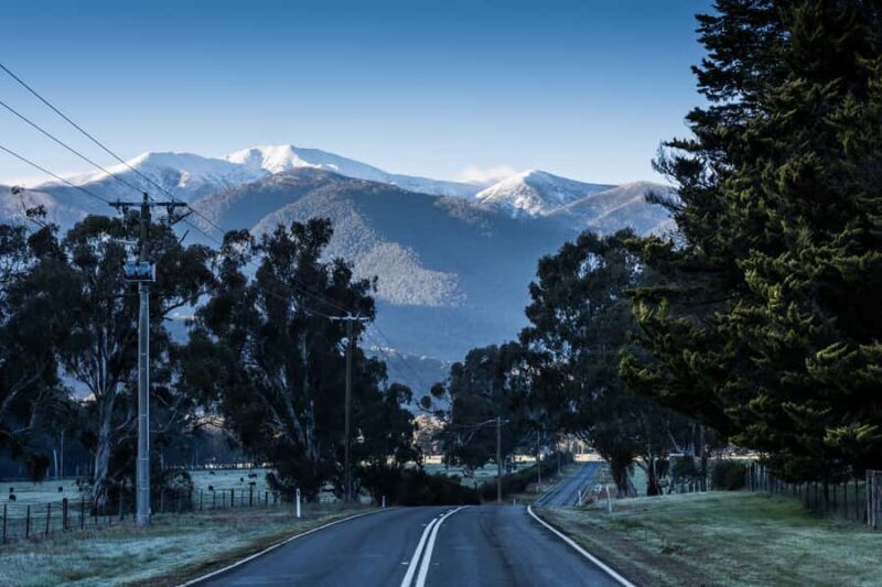 From Melbourne: 5-Day Snow to Surf Trip on Great Alpine Road - Who Would Enjoy This Tour?