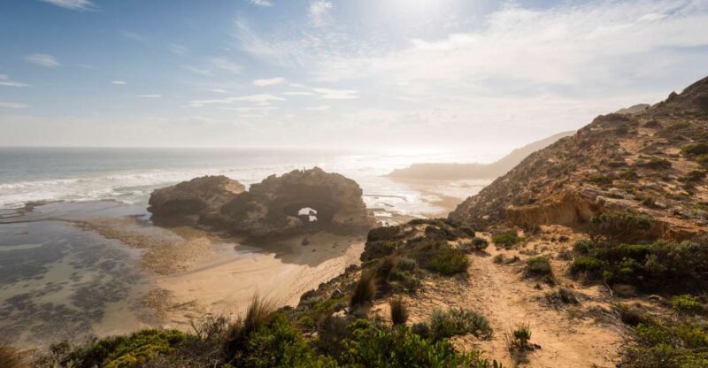 From Melbourne: Bay Sightseeing and Ferry Ride with Lunch - What’s Included and What’s Not