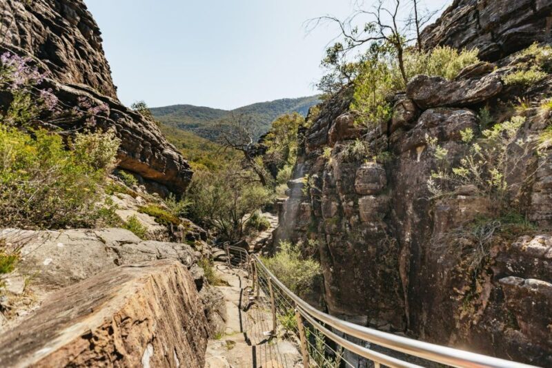 From Melbourne: Grampians National Park Group Tour - Authentic Experiences & Traveler Insights