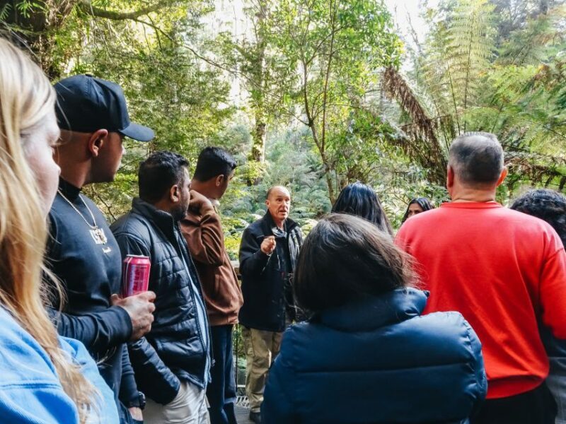 From Melbourne: Great Ocean Road, 12 Apostles, Wildlife Tour - FAQs