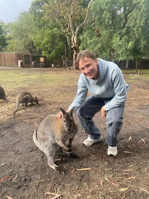 From Melbourne: Great Ocean Road, Dingos, Sparkling & Lunch - Why This Tour Offers Good Value
