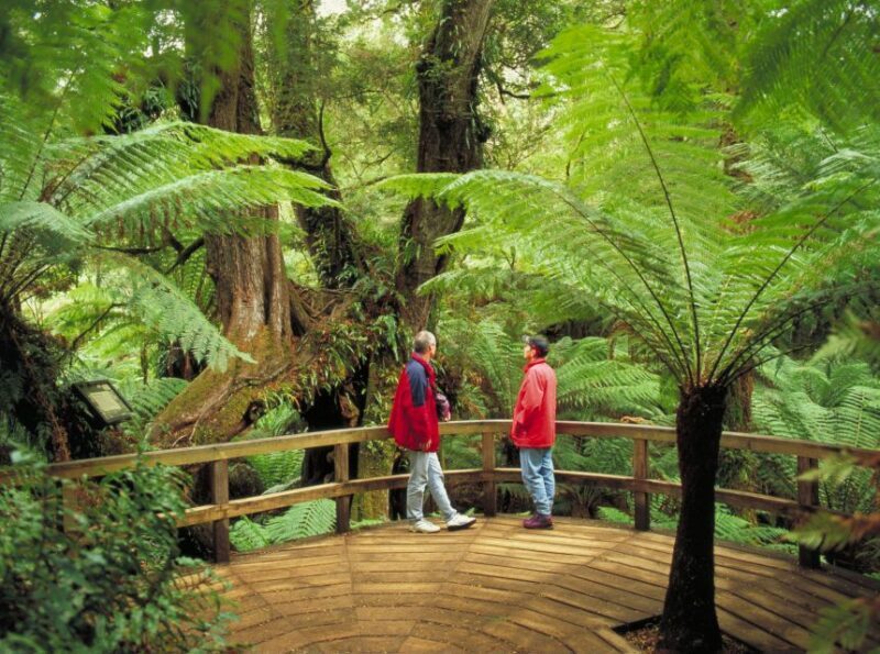 From Melbourne: Great Ocean Road Full-Day Guided Trip - Practical Tips for Travelers