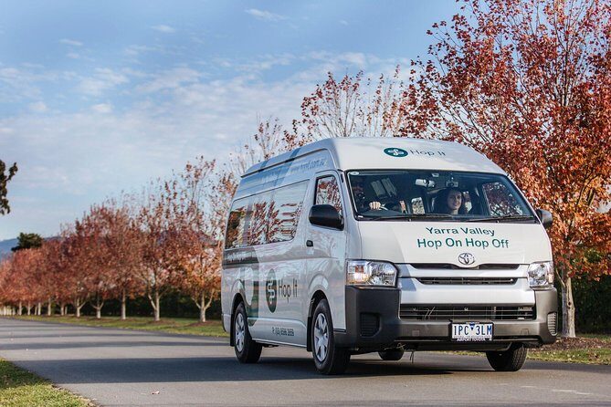 From Melbourne: Hop On Hop Off Yarra Valley - GREEN Route - Practicalities and Value