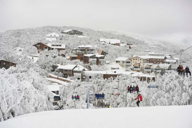 From Melbourne: Mount Buller Day Tour with Resort Entry - The Overall Experience