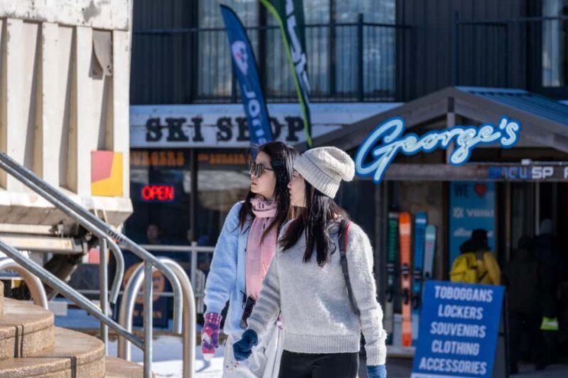 From Melbourne: Mount Buller Day Tour with Resort Entry - Who Should Consider This Tour?