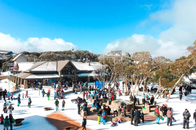 From Melbourne: Mount Buller Guided Day Tour - The Experience Breakdown: What You Can Expect