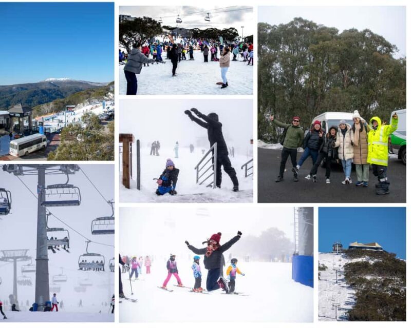 From Melbourne: Mount Buller Guided Day Tour - Who Should Consider This Tour?