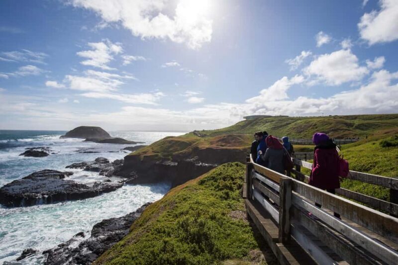 From Melbourne: Penguin Parade, Koalas & Kangaroos - FAQ