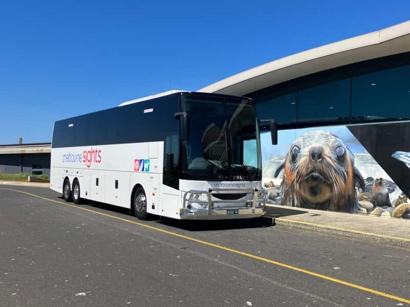 From Melbourne: Phillip Is Penguin Parade & Koala Reserve - Frequently Asked Questions