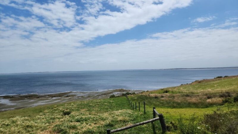 From Melbourne: Phillip Island Penguin Parade Private Tour - From Melbourne: Phillip Island Penguin Parade Private Tour — A Detailed Look