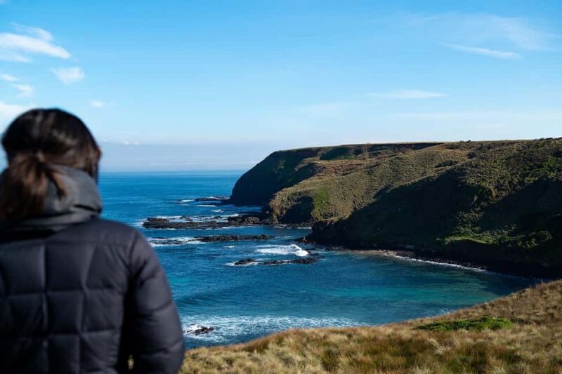 From Melbourne: Phillip Island Penguin Plus - Grandstand - Key Points