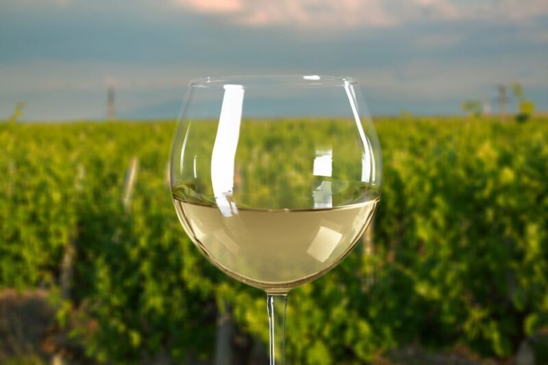 From Melbourne: Private Yarra Valley Winery Tour with Lunch - Final Thoughts