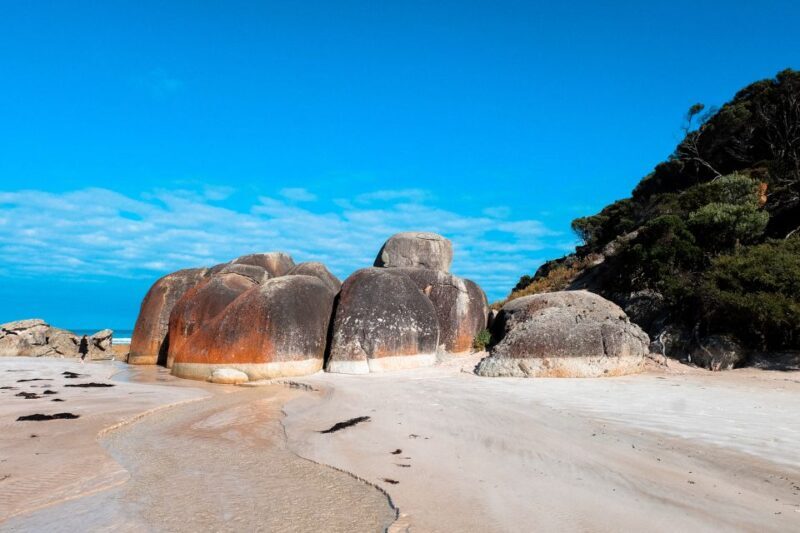 From Melbourne: Wilsons Promontory Small Group Day Tour - A Well-Balanced Day in Wilsons Promontory