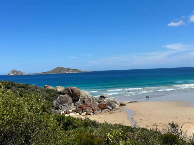 From Melbourne: Wilsons Promontory Wilderness Tour - The Exciting Itinerary: What to Expect