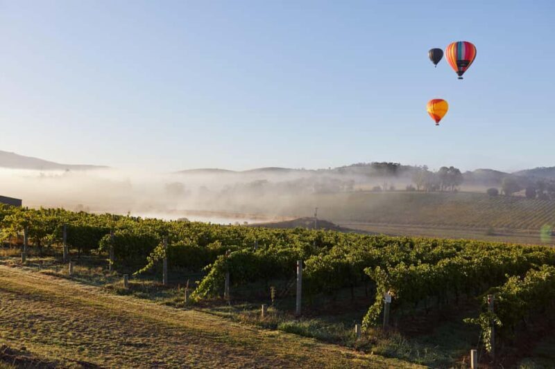 From Melbourne: Yarra Valley Hop-On-Hop-Off Bus Ticket - Who Will Love This Experience?