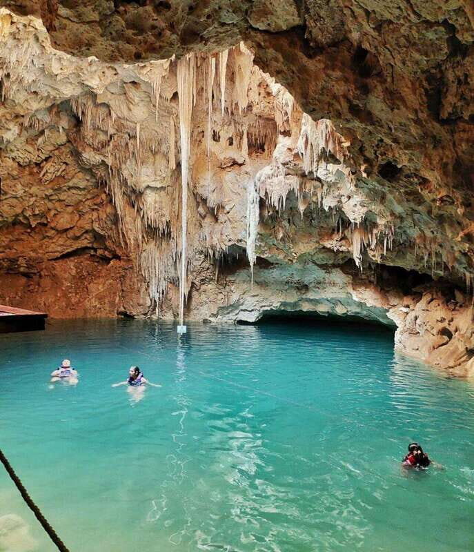 From Merida: 4 different Cenotes with lunch - Key Points