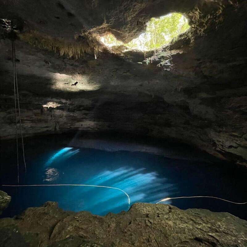 From Merida: 4 different Cenotes with lunch - An In-Depth Look at the Cenote Tour