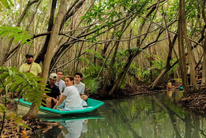 From Merida: Beach, Mangrove and something more - Key Points
