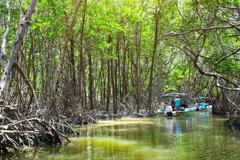 From Merida: Celestun Biosphere Reserve Day Trip - Full Review of the Celestun Biosphere Reserve Tour from Mérida