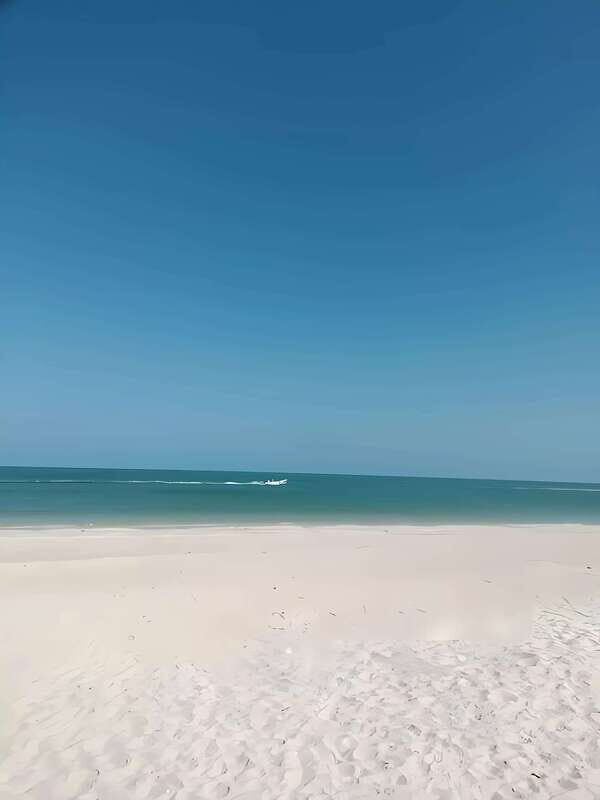 From Merida: Celestun, flamingos and beach - FAQ