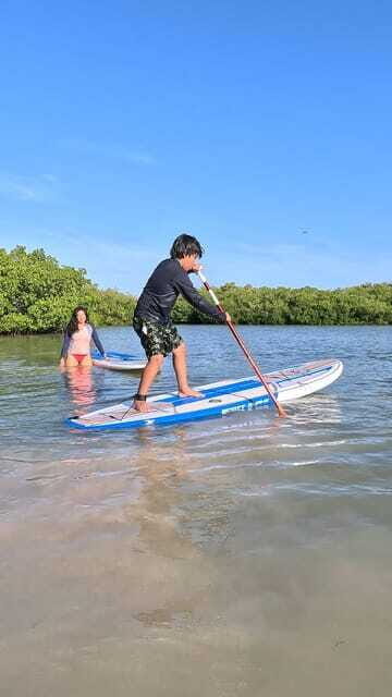 From Mérida: Paddel board, Sunshine and beach - Why This Tour is a Good Fit