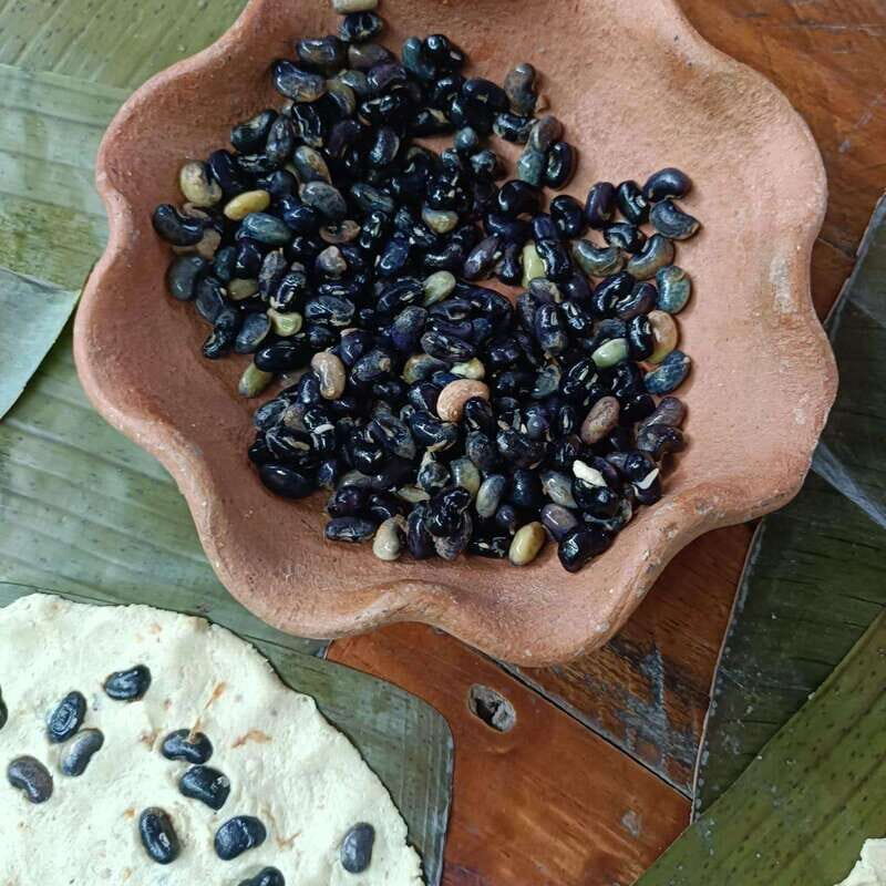 From Merida: Peanuts, our Mayan ancestors - FAQ