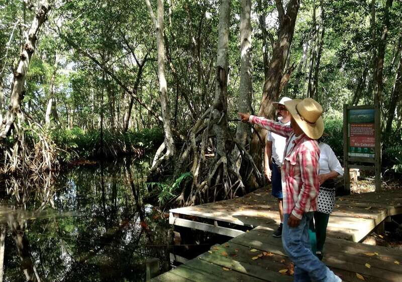 From Mérida: Ria Celestun Biosphere Reserve Tour - Key Points