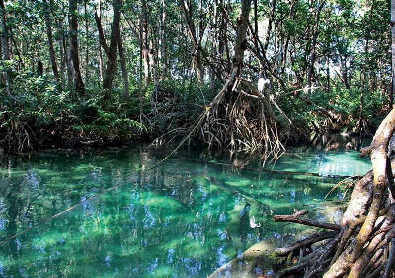 From Mérida: Ria Celestun Biosphere Reserve Tour - Who Would Love This Tour?