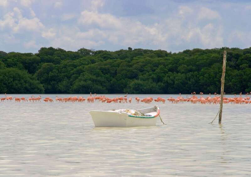 From Mérida: Ria Celestun Biosphere Reserve Tour - FAQs