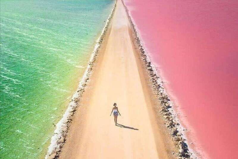 From Mérida: Ria Lagartos, Coloradas, & Cancunito Beach Tour - Analyzing the Tour Experience