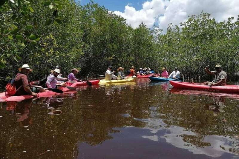 From Merida: Sisal Beach and Mangroves Kayak Tour - From Merida: Sisal Beach and Mangroves Kayak Tour